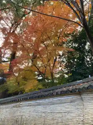 石清水八幡宮(京都府)