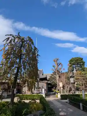 常性寺(東京都)