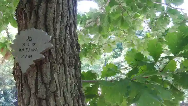 北海道神宮のその他建物