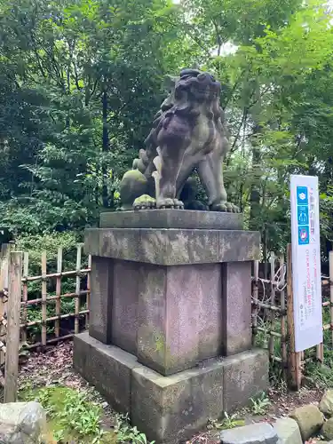 寒川神社の狛犬