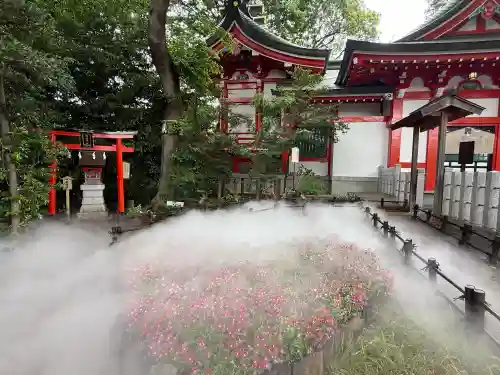 川越八幡宮(埼玉県)