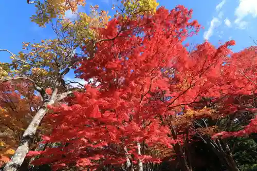 土津神社｜こどもと出世の神さまの庭園