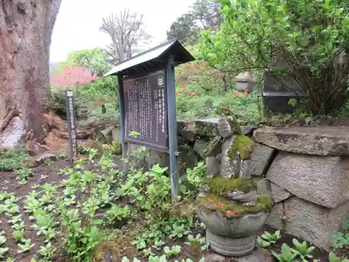 青龍山 吉祥寺の歴史