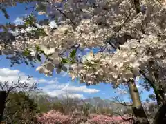 北海道神宮の庭園