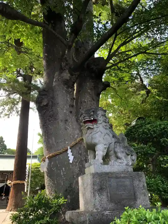比々多神社の{uncategorized: "未分類", other: "その他", undefined: "問題あり", building: "その他建物", grave: "お墓", sacred_gate: "鳥居", guardian: "狛犬", statue: "像", buddha: "仏像", history: "歴史", nature: "自然", garden: "庭園", animal: "動物", pagoda: "塔", temizu: "手水舎", mountain_gate: "山門・神門", sanctuary: "本殿・本堂", subordinate: "末社・摂社", art: "芸術", scenery: "景色", jizo: "地蔵", ema: "絵馬", goshuin: "御朱印", omikuji: "おみくじ", items: "授与品その他", amulet: "お守り", goshuincho: "御朱印帳", eats: "食事", festival: "お祭り", votive_dance: "神楽", shichigosan: "七五三参", wedding: "結婚式", experience: "体験その他", initially: "初詣", around: "周辺", anti_infection: "感染症対策"}