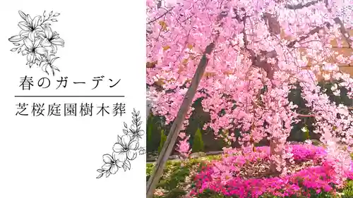 寿量山　速成寺(奈良県)