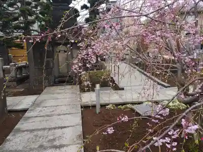 天暁山　一行院(東京都)