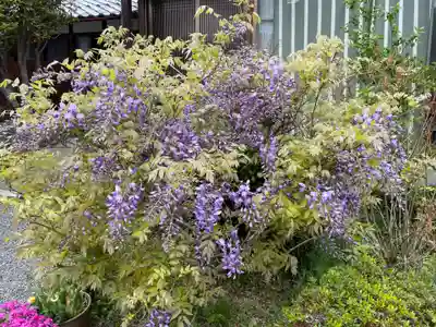 称名寺(兵庫県)