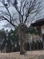 稲荷神社(北海道)