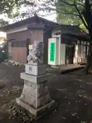 稲荷神社の狛犬