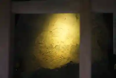 深大寺の末社・摂社