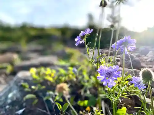 山家神社奥宮の自然