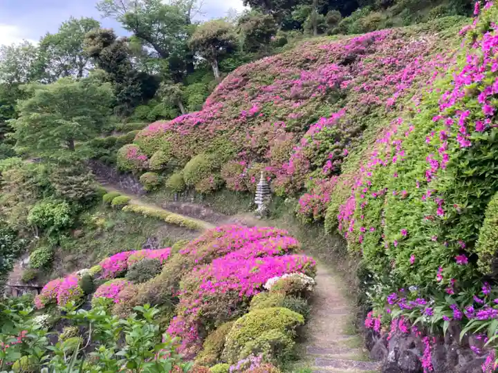 仏行寺(佛行寺)の庭園