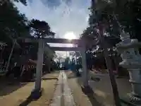 椿ノ海 水神社の鳥居