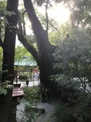 來宮神社のその他建物