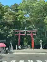 彌彦神社(新潟県)