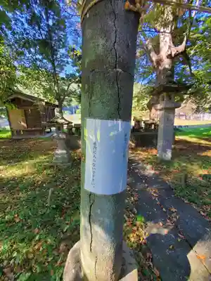 中村神社(長野県)
