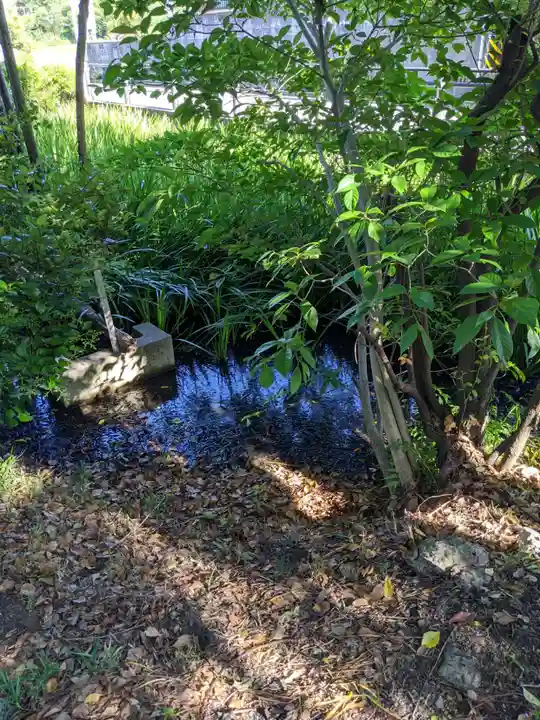 大御堂寺(野間大坊)の自然