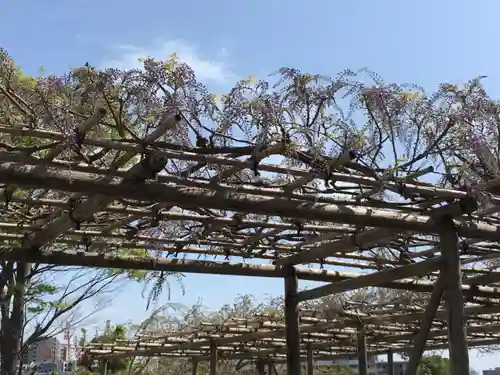 時宗総本山 遊行寺（正式：清浄光寺）の庭園