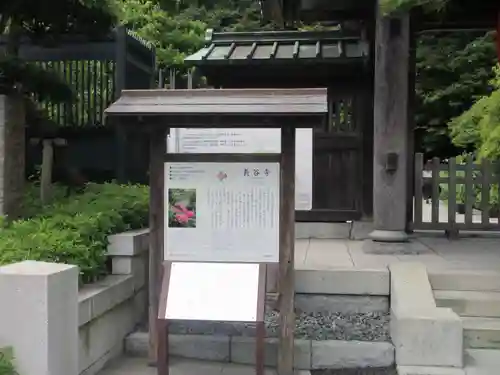 長谷寺(神奈川県)