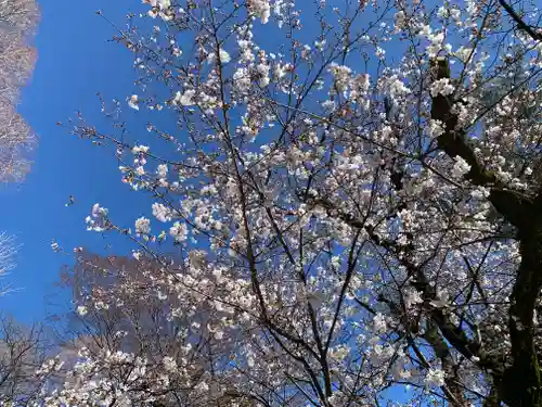 岩槻久伊豆神社(埼玉県)