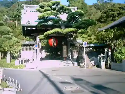 長谷寺の山門・神門
