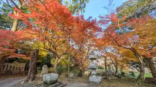 岩屋寺(京都府)
