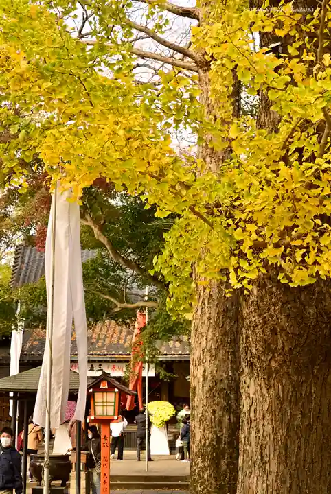 明王院(満願寺別院)の自然