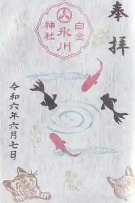 白金氷川神社 6月金魚と猫御朱印 お書き入れ