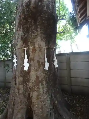 金山彦神社の自然