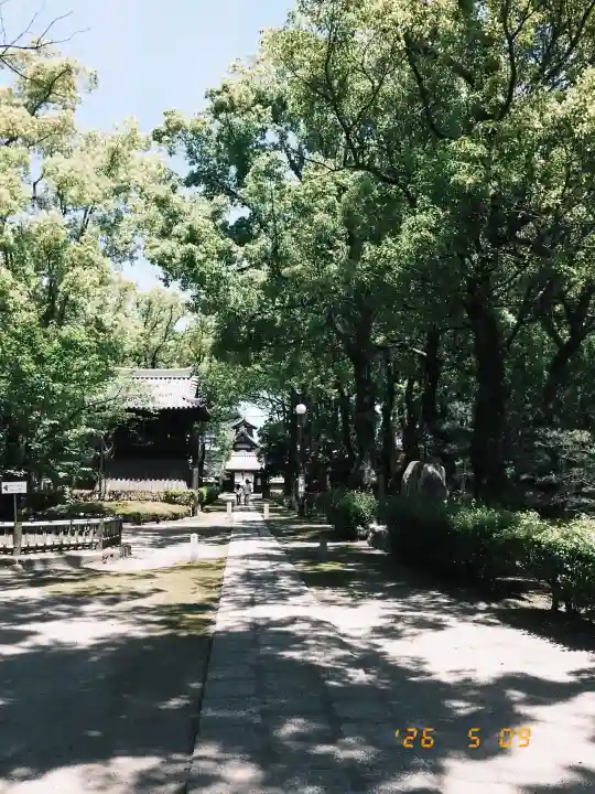 聖福寺の{uncategorized: "未分類", other: "その他", undefined: "問題あり", building: "その他建物", grave: "お墓", sacred_gate: "鳥居", guardian: "狛犬", statue: "像", buddha: "仏像", history: "歴史", nature: "自然", garden: "庭園", animal: "動物", pagoda: "塔", temizu: "手水舎", mountain_gate: "山門・神門", sanctuary: "本殿・本堂", subordinate: "末社・摂社", art: "芸術", scenery: "景色", jizo: "地蔵", ema: "絵馬", goshuin: "御朱印", omikuji: "おみくじ", items: "授与品その他", amulet: "お守り", goshuincho: "御朱印帳", eats: "食事", festival: "お祭り", votive_dance: "神楽", shichigosan: "七五三参", wedding: "結婚式", experience: "体験その他", initially: "初詣", around: "周辺", anti_infection: "感染症対策"}
