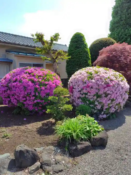 能満寺(群馬県)