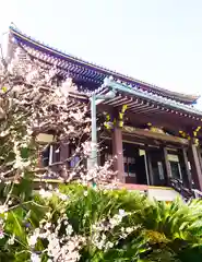 浄土宗南命山善光寺(東京都)