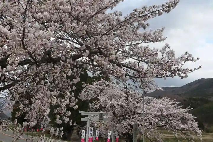 高司神社〜むすびの神の鎮まる社〜の景色