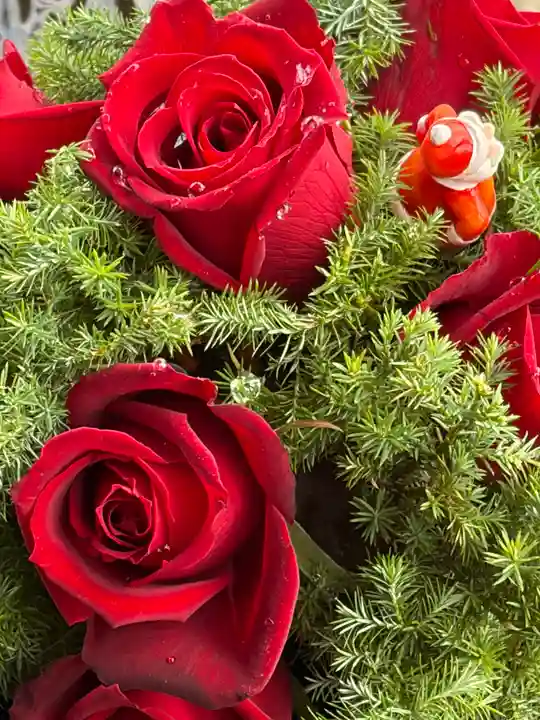 上尾御嶽神社(埼玉県)