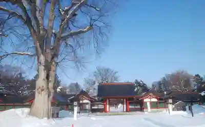 北海道護國神社のその他建物