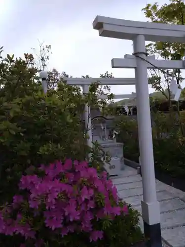 アミュプラザくまもと加藤神社の自然