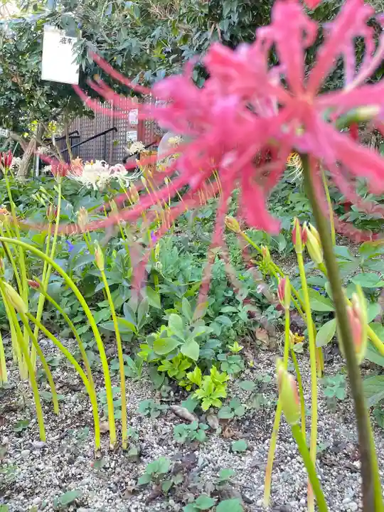 円照寺(兵庫県)