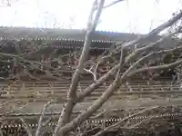 光明寺のその他建物