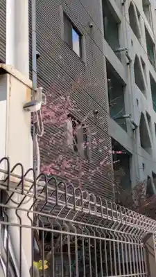 妙蓮寺(大阪府)