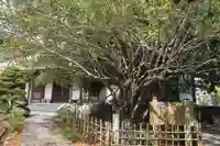 正法寺(愛知県)