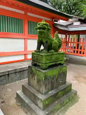 住吉神社の狛犬