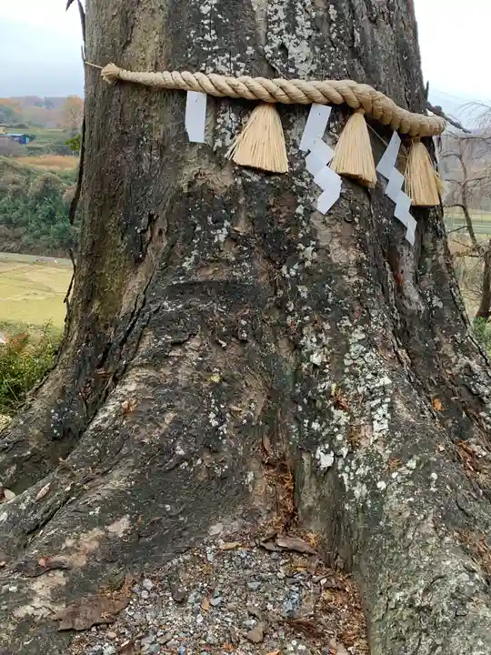 阿久津「田村神社」(郡山市阿久津町)旧社名:伊豆箱根三嶋三社(福島県)