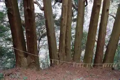 天岩戸神社(宮崎県)