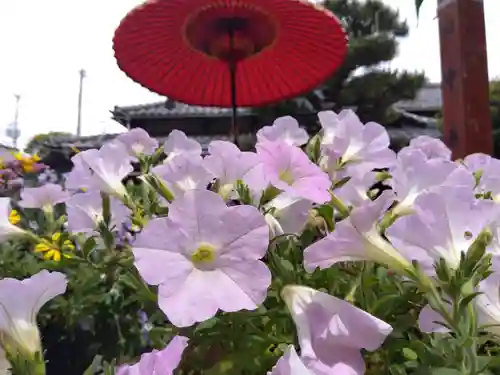 源九郎稲荷神社(奈良県)