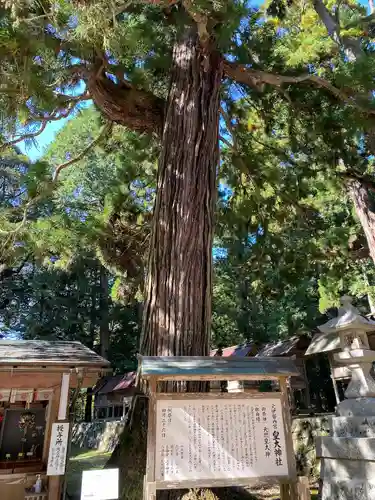 元伊勢内宮 皇大神社(京都府)