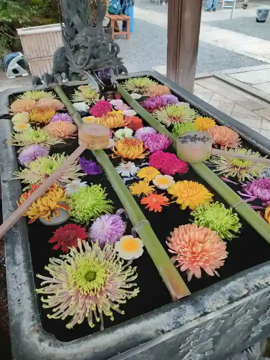 柳谷観音 楊谷寺(京都府)