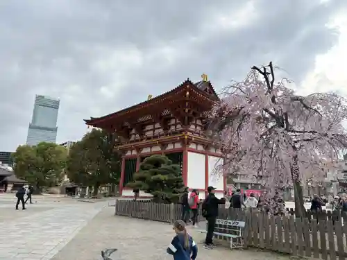 四天王寺(大阪府)