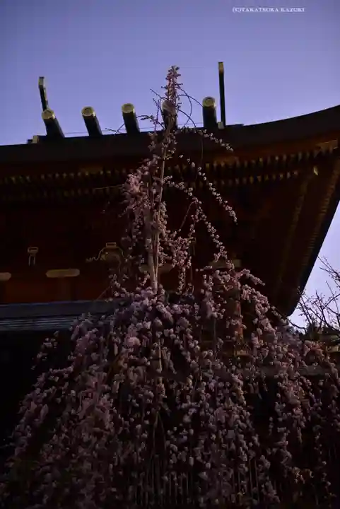 湯島天満宮(東京都)