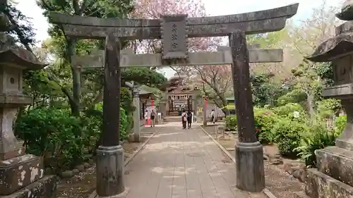 江島神社の鳥居